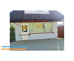 wynajmę lokal użytkowy Głogów