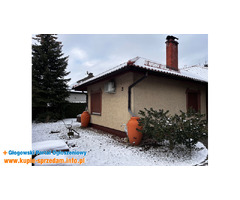 Dom jednorodzinny, wolnostojący-parter Głogów