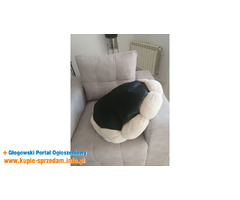 Nowe spanko dla kotka,pieska