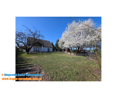 Dom wolnostojący Kurowice 169.1m