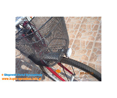 damka Pegasus, koła 28 cali